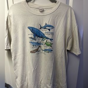 Vintage Aquatic Life - Cape Cod, MA